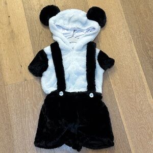 Adorable Panda Costume for Kids